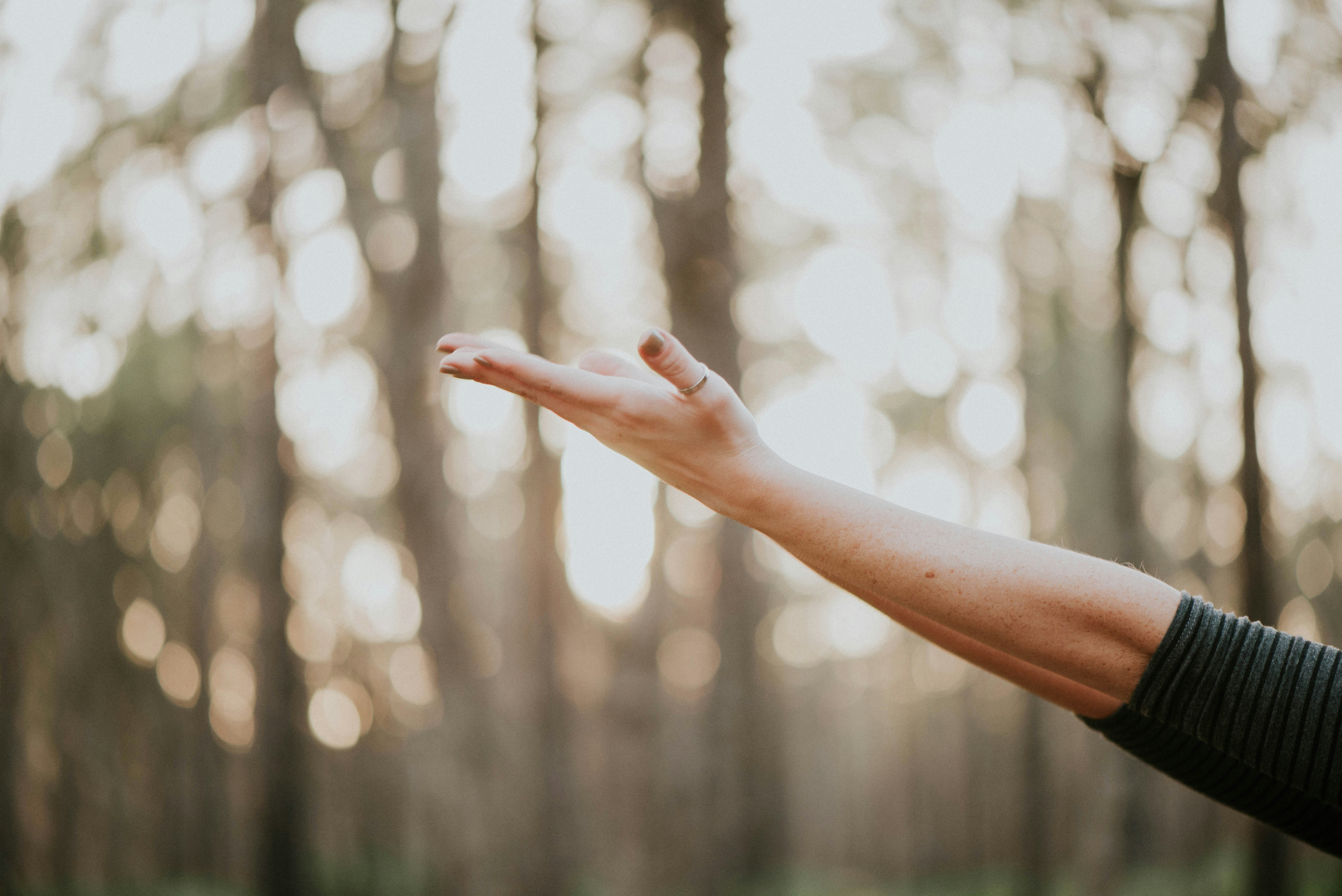 10 Effective Natural Kidney Cleanse Strategies for 2025 Ultimate Results